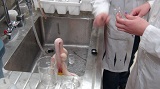 Elephant_Toothpaste 5