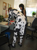 Contact the Department of Chemistry for help identifying photos {ABE}