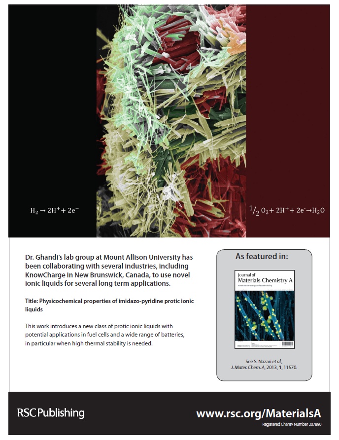 Physicochemical properties of imidazo-pyridine protic ionic liquids.