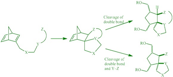Intramolecular Cycloadditions of Substituted Norbornadienes