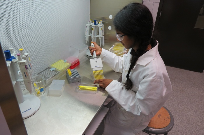 Students in the Lab