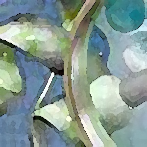 Biological and Pharmaceutical Chemistry